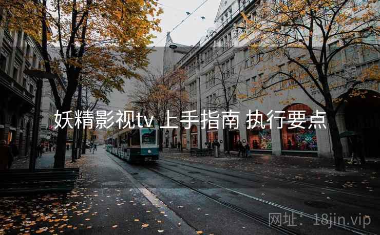 妖精影视tv 上手指南 执行要点