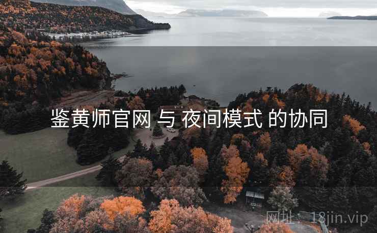 鉴黄师官网 与 夜间模式 的协同