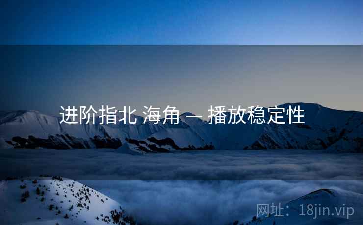 进阶指北 海角 — 播放稳定性
