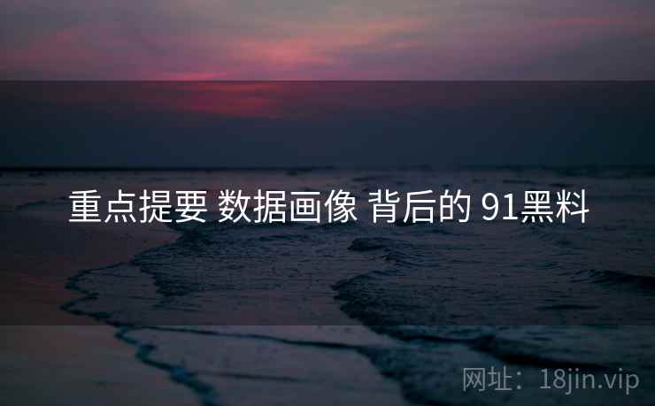重点提要 数据画像 背后的 91黑料