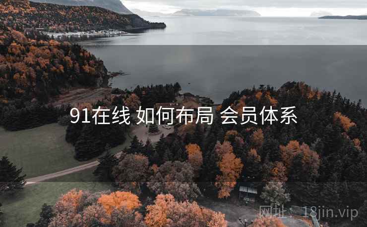 91在线 如何布局 会员体系