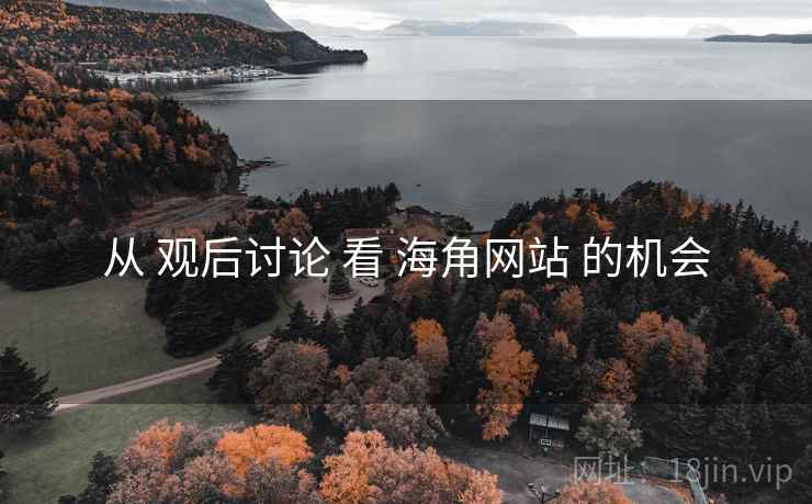 从 观后讨论 看 海角网站 的机会