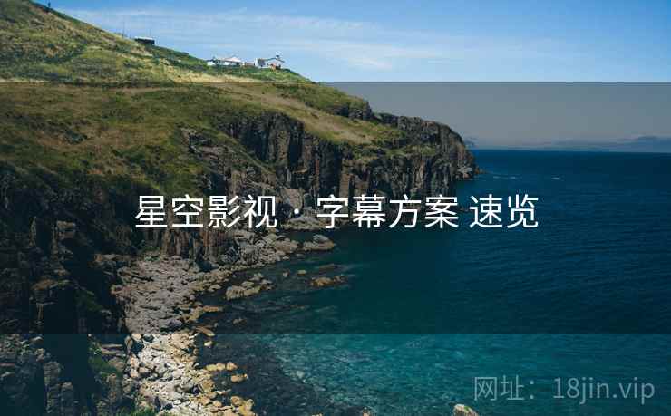 星空影视 · 字幕方案 速览