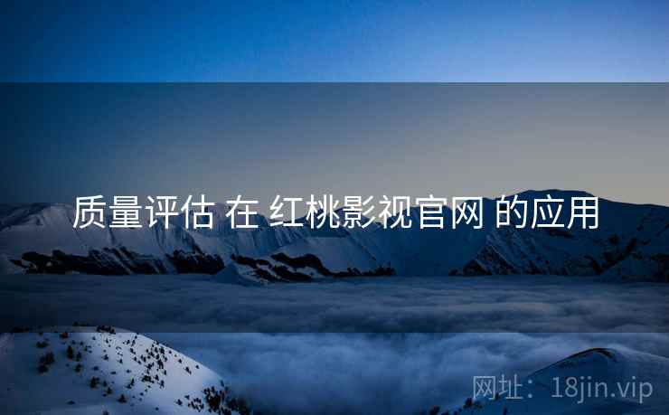 质量评估 在 红桃影视官网 的应用