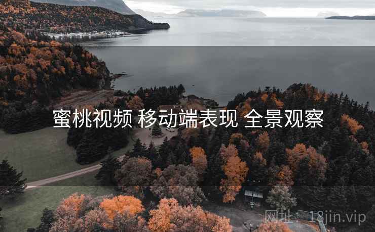 蜜桃视频 移动端表现 全景观察